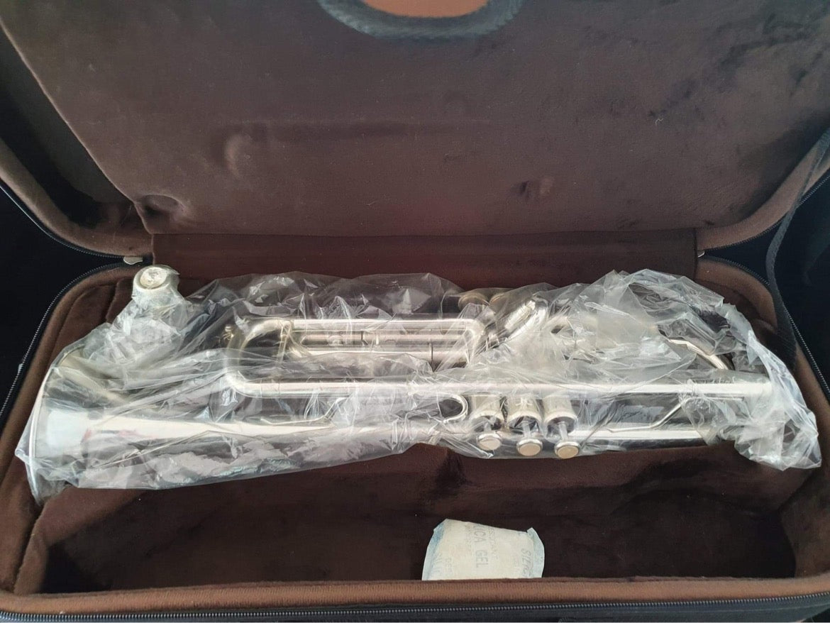 Eastman trumpet online case